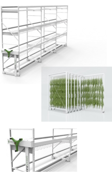 GreenRak